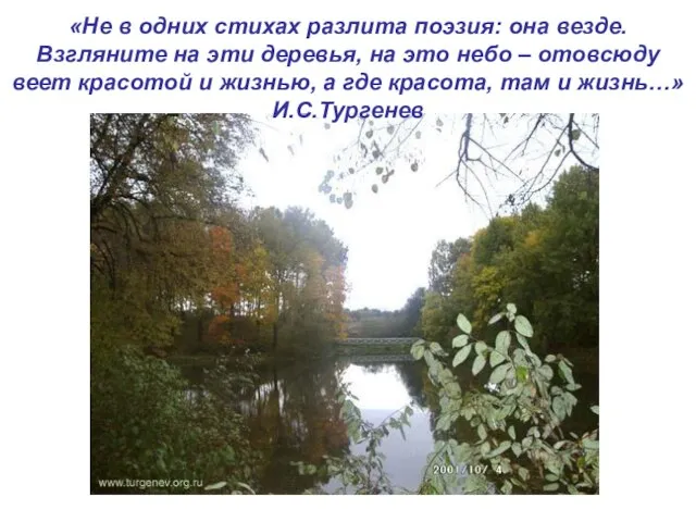 «Не в одних стихах разлита поэзия: она везде. Взгляните на эти деревья,