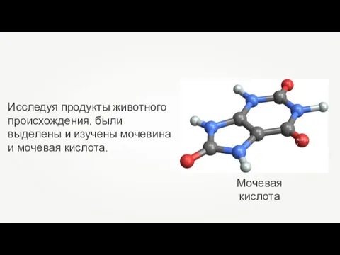 Исследуя продукты животного происхождения, были выделены и изучены мочевина и мочевая кислота. AbcdKolya Мочевая кислота