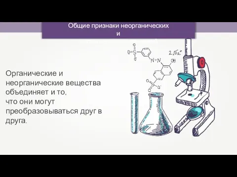 Общие признаки неорганических и органических соединений Органические и неорганические вещества объединяет и