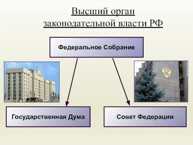 Высший орган законодательной власти РФ Федеральное Собрание Государственная Дума Совет Федерации