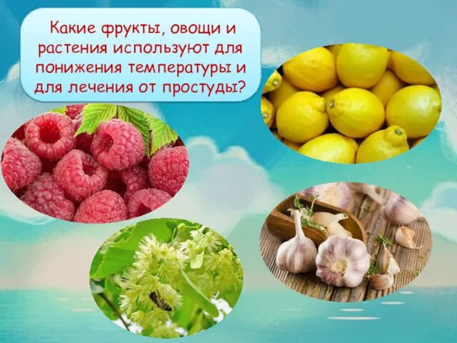 Какие фрукты, овощи и растения используют для понижения температуры и для лечения от простуды? Ответ