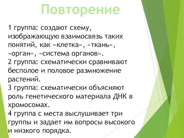 Повторение 1 группа: создают схему, изображающую взаимосвязь таких понятий, как «клетка», «ткань»,