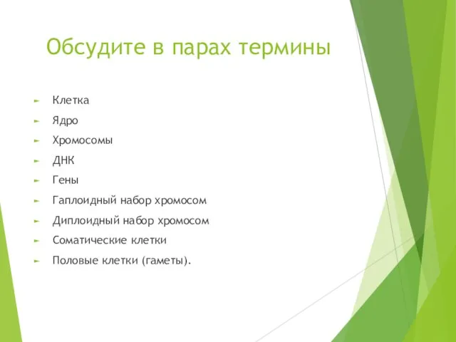 Обсудите в парах термины Клетка Ядро Хромосомы ДНК Гены Гаплоидный набор хромосом