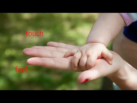 touch feel