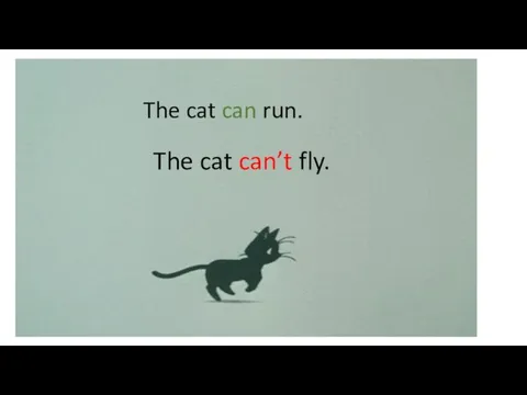 The cat can run. The cat can’t fly.