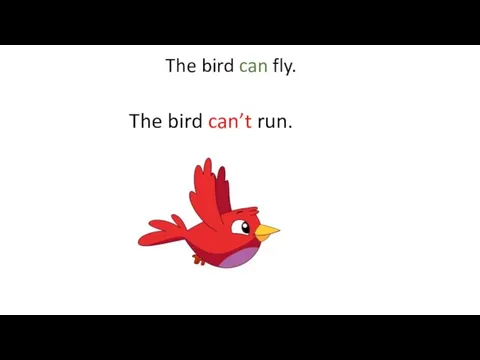 The bird can fly. The bird can’t run.