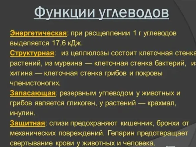 Функции