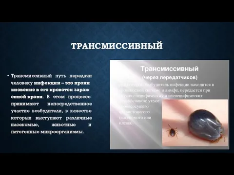 ТРАНСМИССИВНЫЙ Трансмиссивный путь передачи человеку инфекции – это проникновение в его кровоток