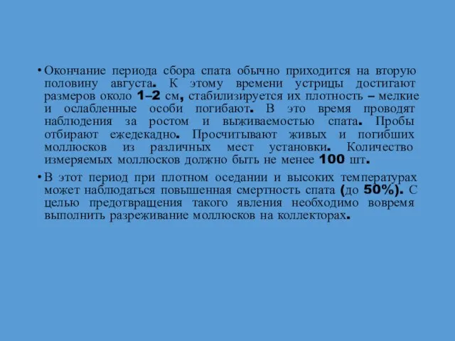 Окончание периода сбора спата обычно приходится на вторую половину августа. К этому