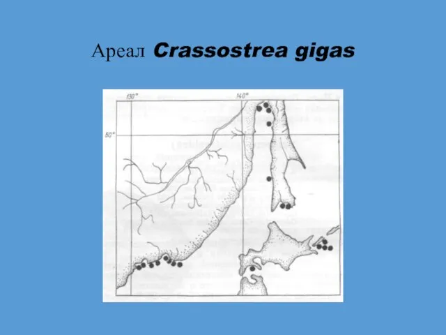 Ареал Crassostrea gigas