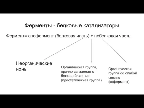 Ферменты - белковые катализаторы Фермент= апофермент (белковая часть) + небелковая часть Неорганические