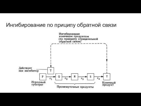 Ингибирование по приципу обратной связи