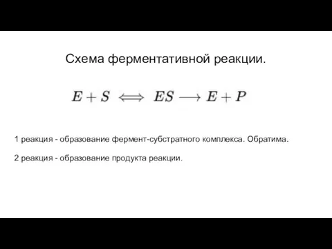 Схема ферментативной реакции. 1 реакция - образование фермент-субстратного комплекса. Обратима. 2 реакция - образование продукта реакции.