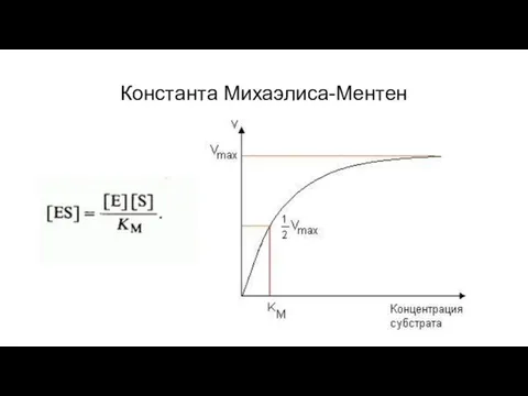 Константа Михаэлиса-Ментен