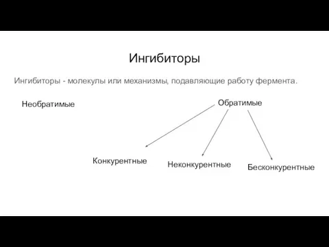 Ингибиторы Ингибиторы - молекулы или механизмы, подавляющие работу фермента. Необратимые Обратимые Конкурентные Неконкурентные Бесконкурентные