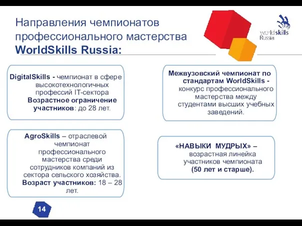 Направления чемпионатов профессионального мастерства WorldSkills Russia: 14 DigitalSkills - чемпионат в сфере