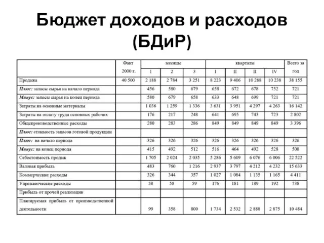 Бюджет доходов и расходов (БДиР)