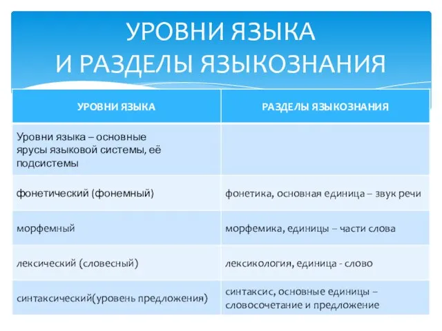 УРОВНИ ЯЗЫКА И РАЗДЕЛЫ ЯЗЫКОЗНАНИЯ