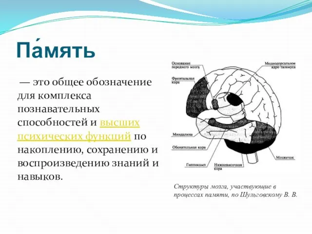 Па́мять — это общее обозначение для комплекса познавательных способностей и высших психических