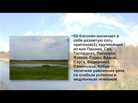 Её бассейн включает в себя развитую сеть притоков[3], крупнейшие из них Пашняк,