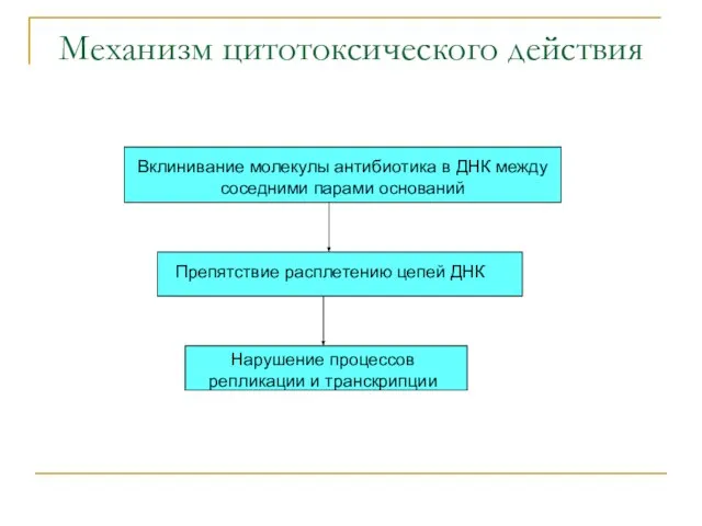 Механизм цитотоксического действия Вклинивание молекулы антибиотика в ДНК между соседними парами оснований