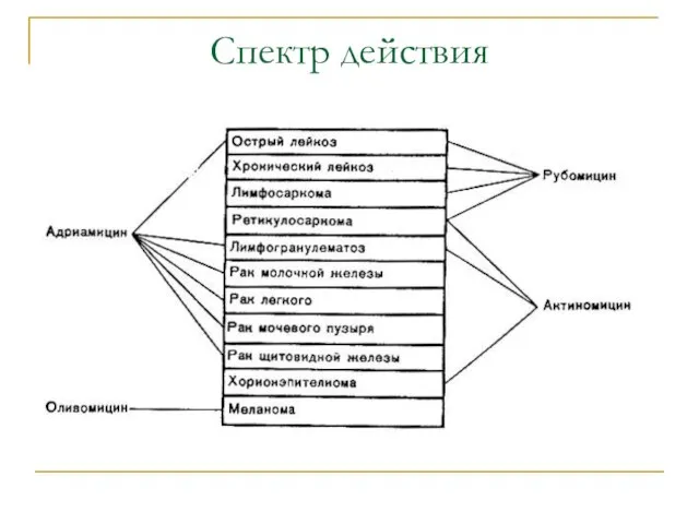 Спектр действия