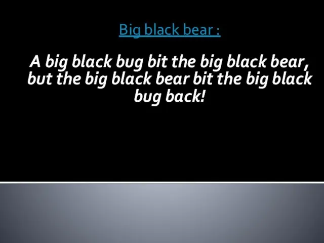 Big black bear : A big black bug bit the big black