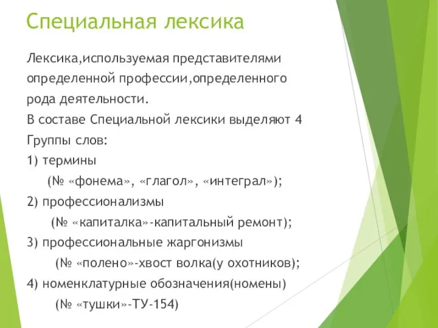 Специальная лексика Лексика,используемая представителями определенной профессии,определенного рода деятельности. В составе Специальной лексики