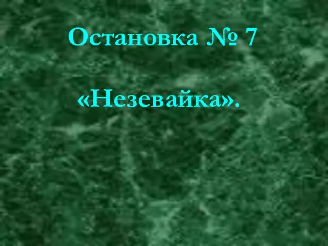 Остановка № 7 «Незевайка».