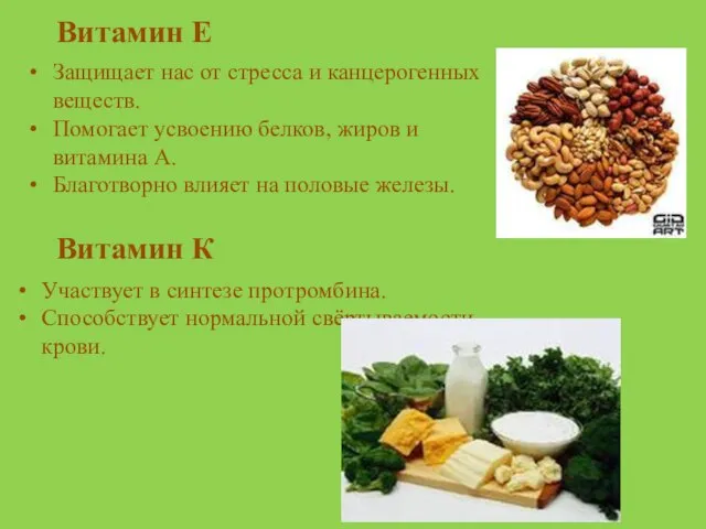 Витамин Е Защищает нас от стресса и канцерогенных веществ. Помогает усвоению белков,