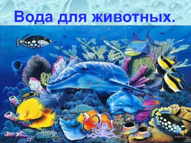 Вода для животных.