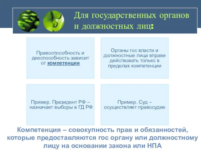 Для государственных органов и должностных лиц: Правоспособность и дееспособность зависит от компетенции