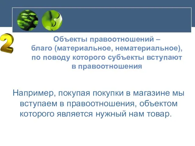 Например, покупая покупки в магазине мы вступаем в правоотношения, объектом которого является