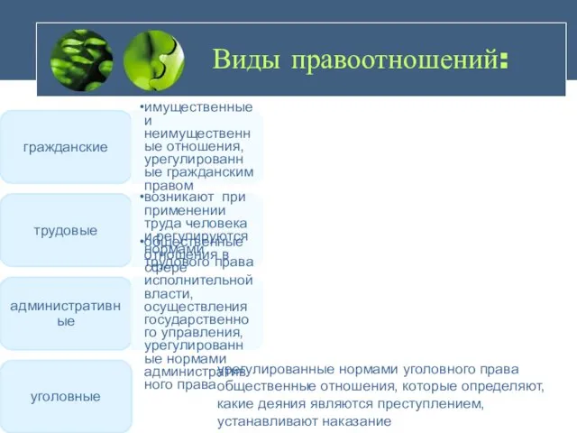 Виды правоотношений: гражданские имущественные и неимущественные отношения, урегулированные гражданским правом трудовые возникают