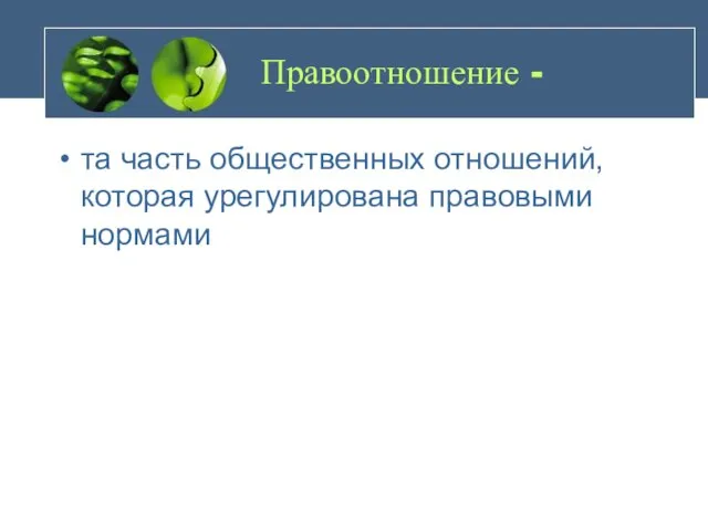 Правоотношение - та часть общественных отношений, которая урегулирована правовыми нормами