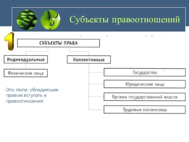 Субъекты правоотношений Это люли, обладающие правом вступать в правоотношения