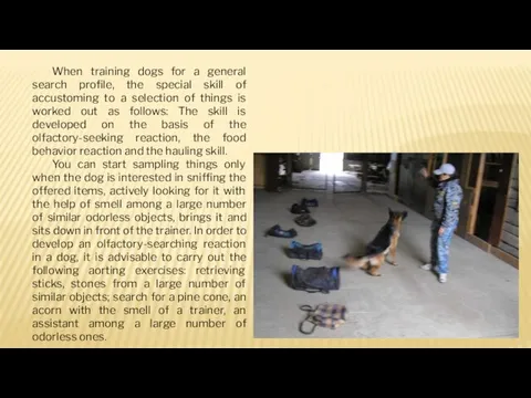 When training dogs for a general search profile, the special skill of