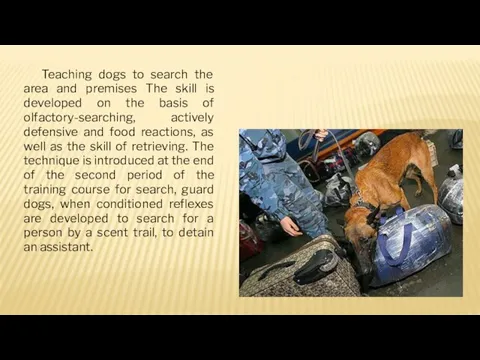 Teaching dogs to search the area and premises The skill is developed