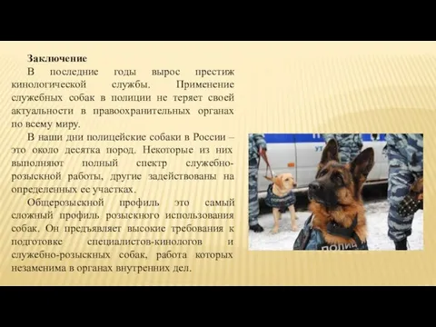 Заключение В последние годы вырос престиж кинологической службы. Применение служебных собак в