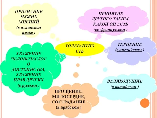 ТОЛЕРАНТНОСТЬ ПРИЗНАНИЕ ЧУЖИХ МНЕНИЙ (в испанском языке ) ПРИНЯТИЕ ДРУГОГО ТАКИМ, КАКОЙ