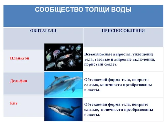 Всевозможные выросты, уплощение тела, газовые и жировые включения, пористый скелет. Обтекаемой форма