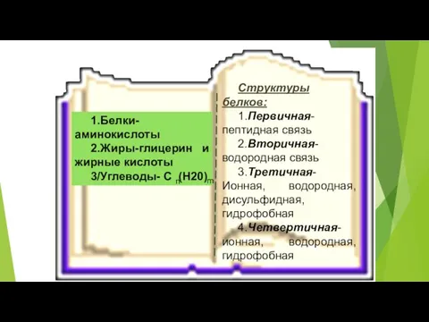 1.Белки-аминокислоты 2.Жиры-глицерин и жирные кислоты 3/Углеводы- C (H20) Структуры белков: 1.Первичная-пептидная связь