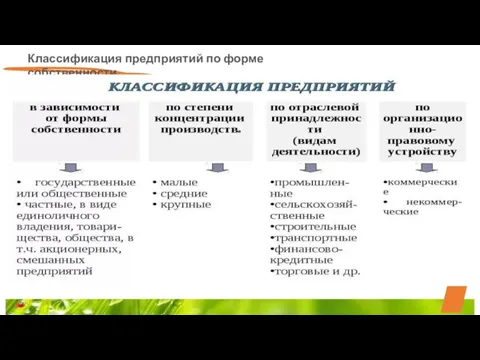 Классификация предприятий по форме собственности