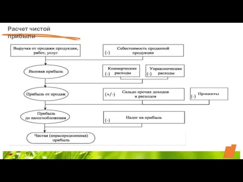 Расчет чистой прибыли