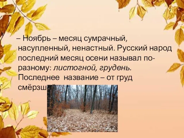 – Ноябрь – месяц сумрачный, насупленный, ненастный. Русский народ последний месяц осени