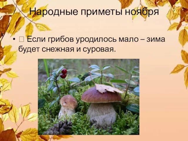 Народные приметы ноября  Если грибов уродилось мало – зима будет снежная и суровая.