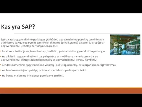 Kas yra SAP? Specialaus apgyvendinimo paslaugos yra būtinų apgyvendinimo poreikių tenkinimas ir