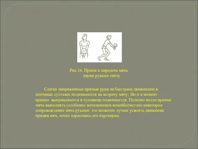 Рис.16. Прием и передача мяча двумя руками снизу Слегка напряженные прямые руки