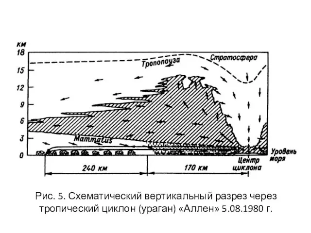 Рис. 5. Схематический вертикальный разрез через тропический циклон (ураган) «Аллен» 5.08.1980 г.