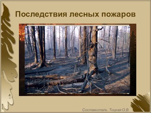 Последствия лесных пожаров Составитель: Тоцкая О.В.
